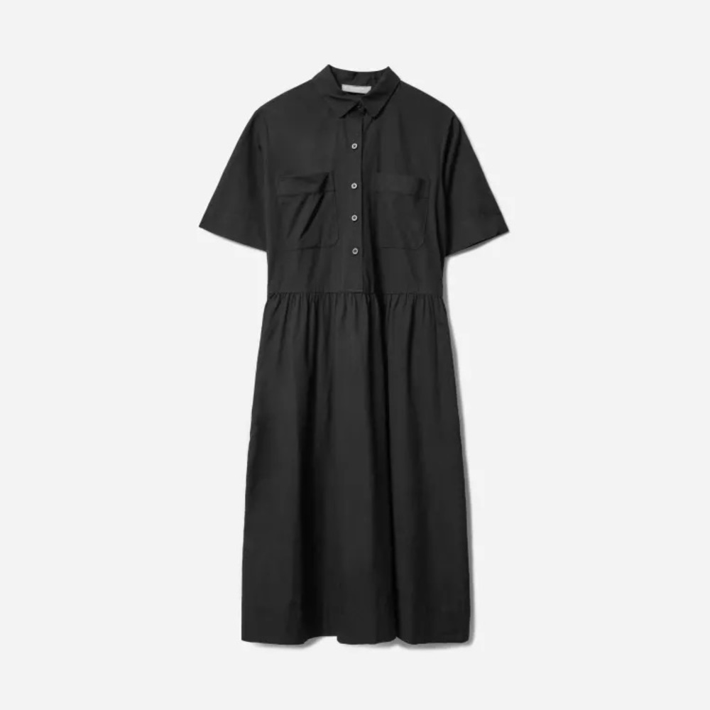 Everlane The Parklet Shirt Dress